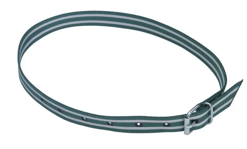 Halsmarkierungsband mit Rollschnalle, grün/weiß, 120 cm 120 cm Neue Ware